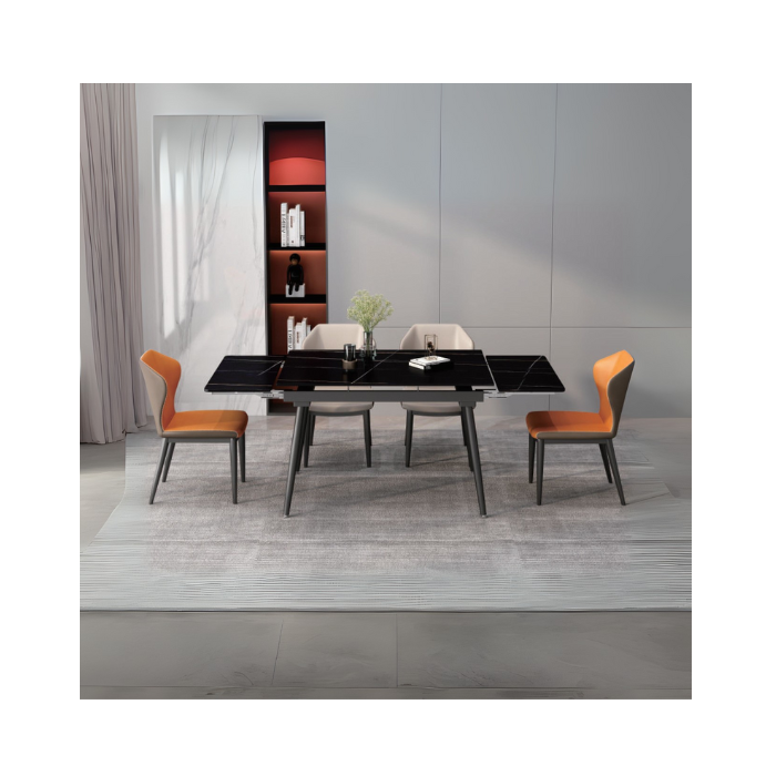 Dining Table Set (1+6)